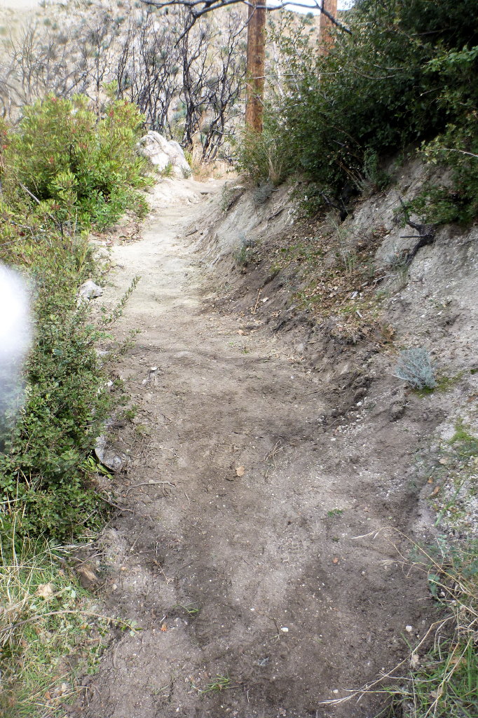 Gabrielino Trail, after tread repair work