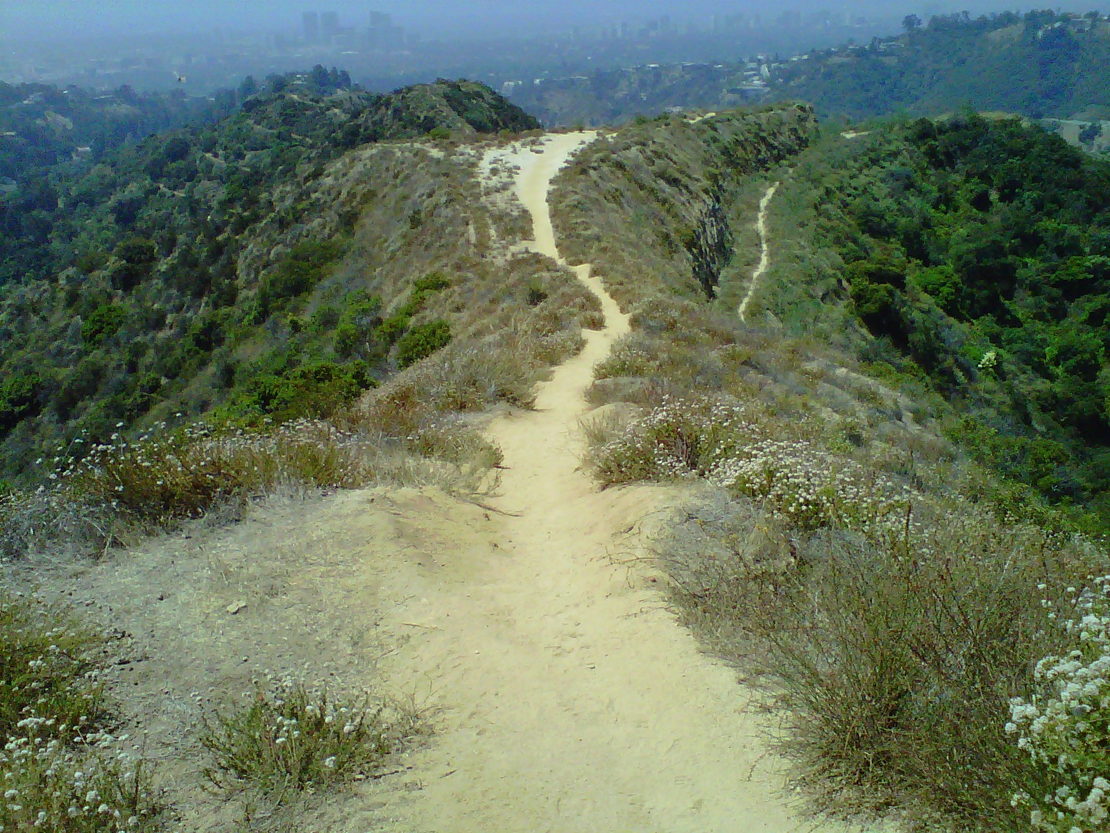hastain-trail