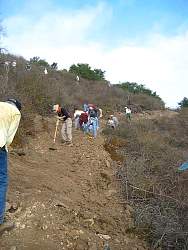 TrailWork.jpg