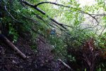 20160218074-Gabrielino-Trail-Scouting