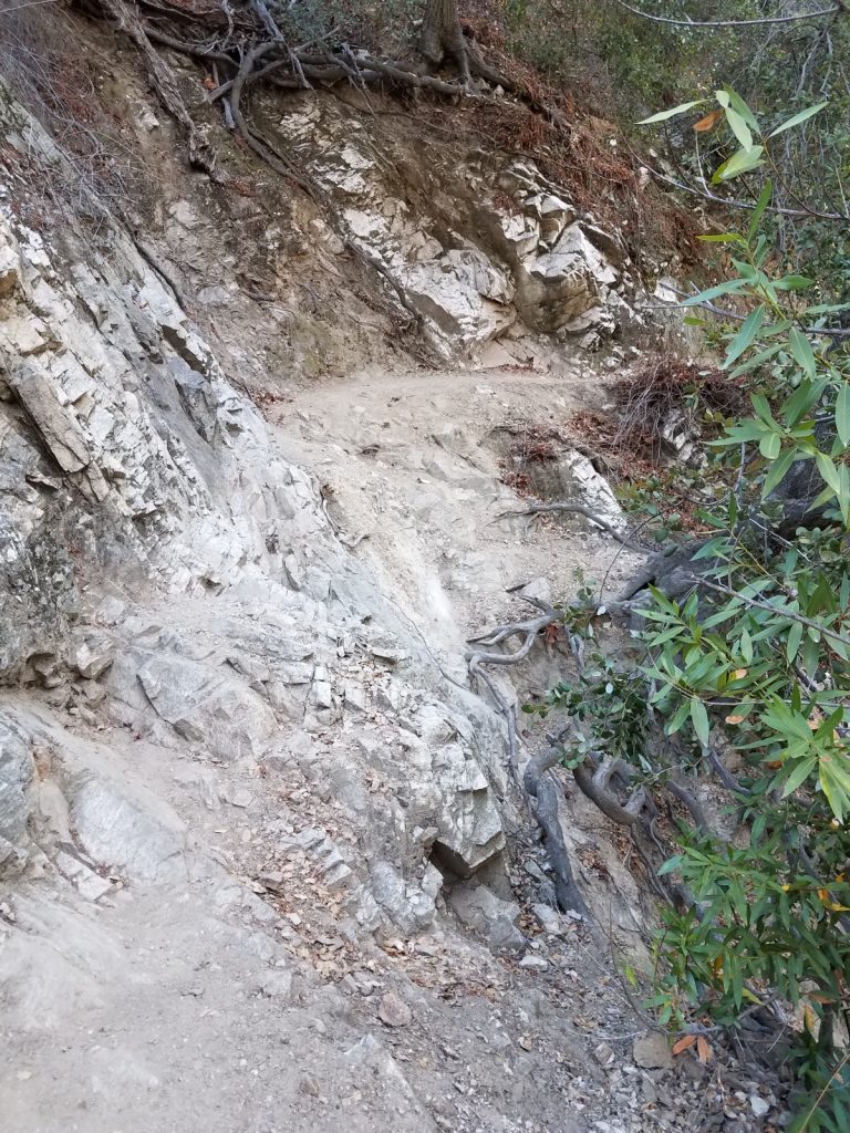 Trail Damage at Sturtevant Falls, looking North. We are proposing a retaining wall and revegation of the slope.